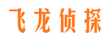 林芝寻人公司